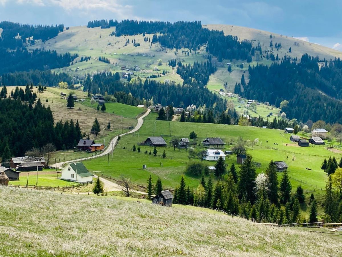 Rodynnyi Zatyshok Vendégház Verhovina Kültér fotó